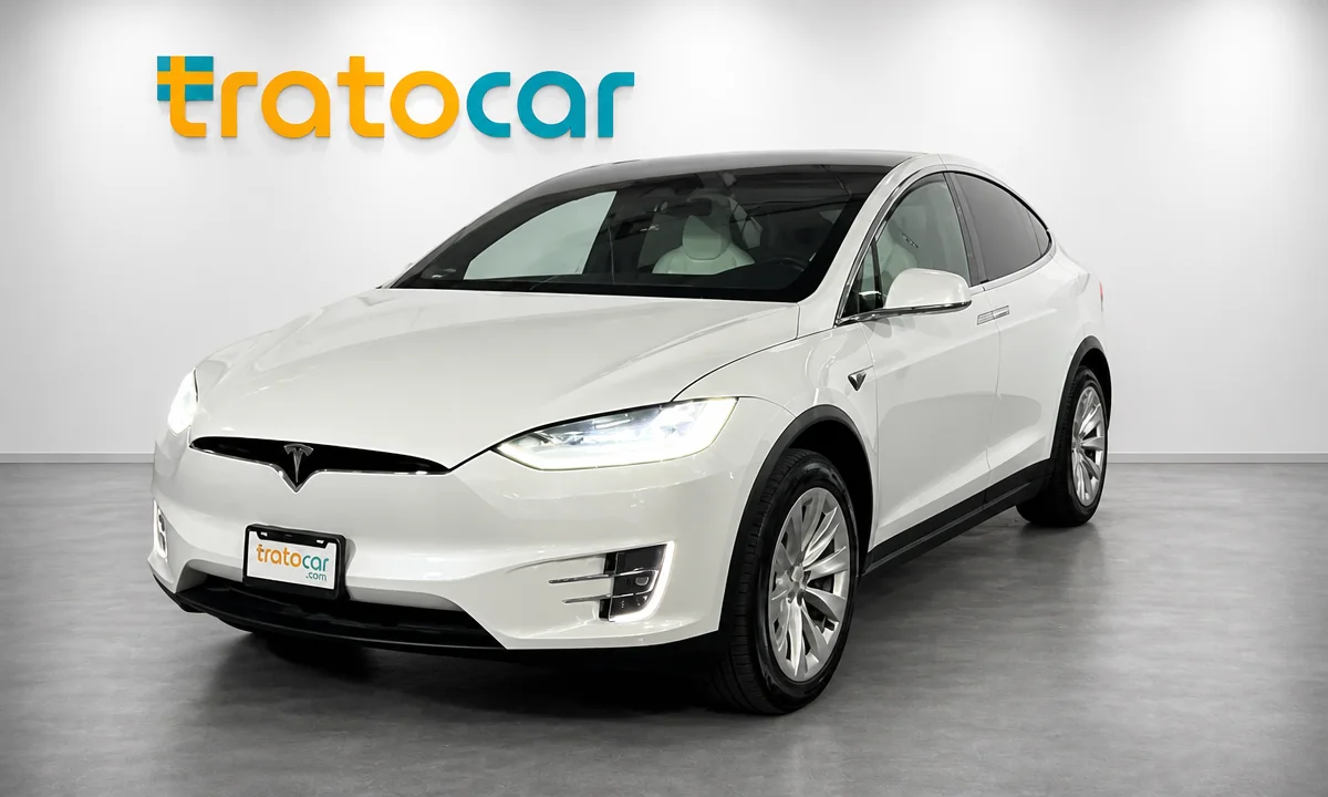2019 Tesla Model X